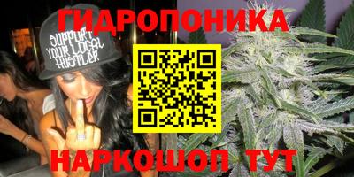 сатива Бузулук
