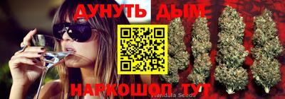 сатива Бузулук